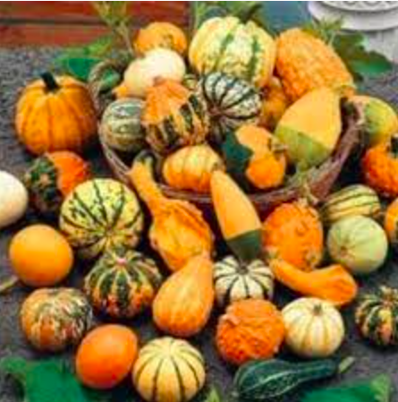 screen-shot-2022-08-28-at-8-40-10-am-1