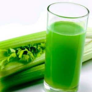 Combo 10 cây giống cần tây Mỹ loại cây lớn chuyên dùng ép nước detox