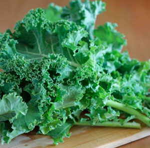 Combo 5 cây cải Kale hàng cây ươm vỉ