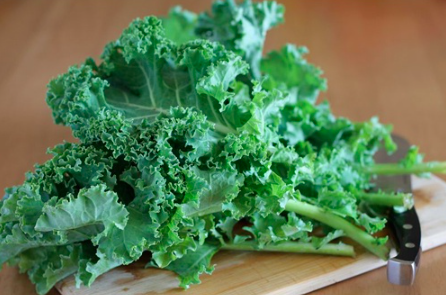 Combo 5 cây cải Kale hàng cây ươm vỉ