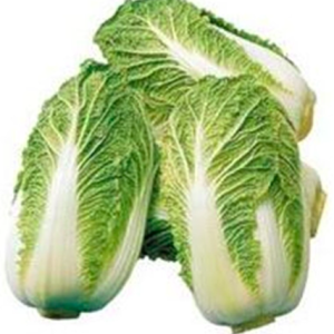 Gói 50 hạt giống cải thảo chịu nhiệt 2.5kg