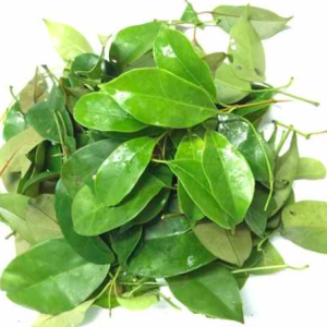 Gói 10 hạt giống lá giang