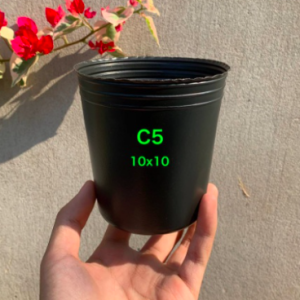 Combo 50 chậu đen nhựa size C5