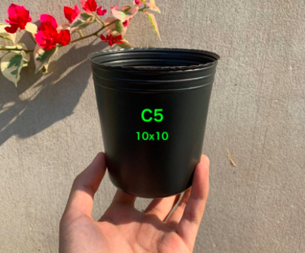 Combo 50 chậu đen nhựa size C5