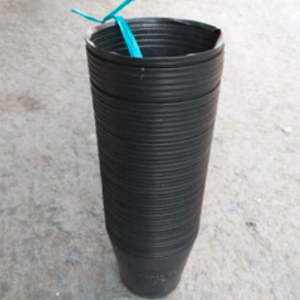 Combo 50 chậu đen nhựa size C5