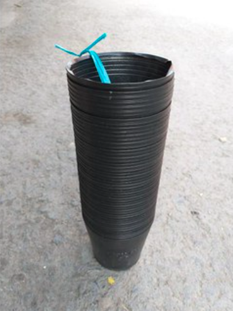 Combo 50 chậu đen nhựa size C5