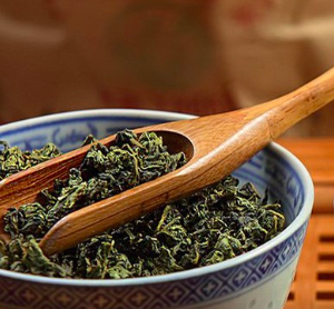 Cây trà Ô Long - Camellia sinensis