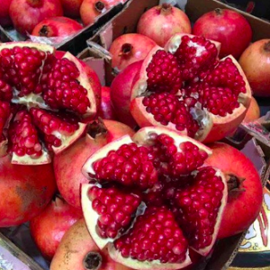 Cây giống lựu Peru C11