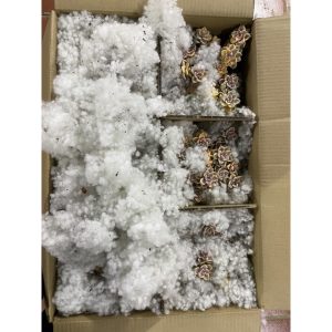 Cây giống sen đá nâu var - Graptoveria Titubans Variegated