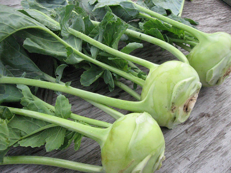 Gói 2g hạt giống su hào