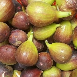 Gói 10 hạt giống sung Mỹ - Nanuseeds