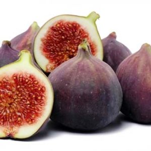 Gói 10 hạt giống sung Mỹ - Nanuseeds