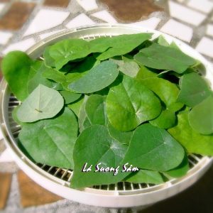 Gói 20 hạt giống sương sâm lông - Tiliacora triandra