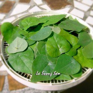 Gói 20 hạt giống sương sâm lông - Tiliacora triandra