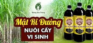 CHAI 1 LÍT MẬT RỈ ĐƯỜNG CHẤT LƯỢNG CAO