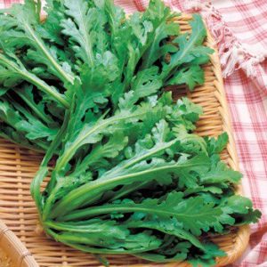 Gói 20g hạt giống tần ô Garland lá tròn