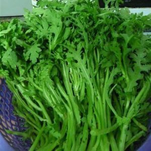 Gói 20g hạt giống tần ô Garland lá tròn