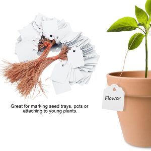 Bộ 100 thẻ tên đánh dấu cây chống nước