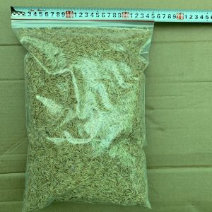 Trấu tươi (gói 2dm3) - CayGiongTot