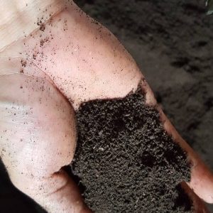 Gói 2kg phân trùn quế nguyên chất