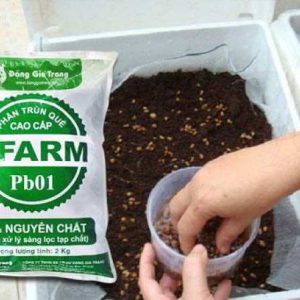 Gói 2kg phân trùn quế nguyên chất