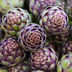 Gói 1GR hạt giống Atiso Đà Lạt - Bông Tím