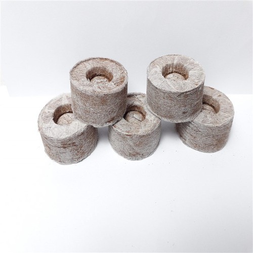 vien-nen-loai-1-3-c0e0f9f8-1791-419d-998c-8c71b9de0ef1