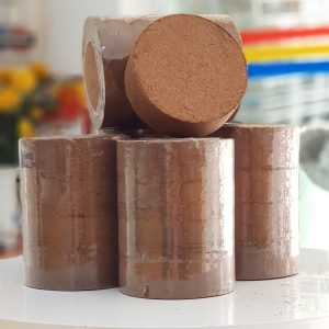 Gói 50 viên nén xơ dừa ươm hạt Batrivina - tiki