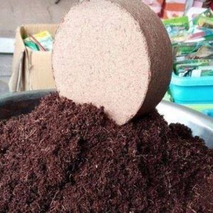 Thùng 24 viên nén Mụn dừa Phước Lộc-Tiền Giang _ Tiki