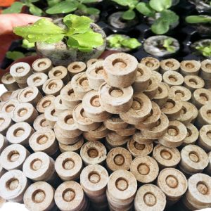 Thùng 900 viên nén ươm hạt