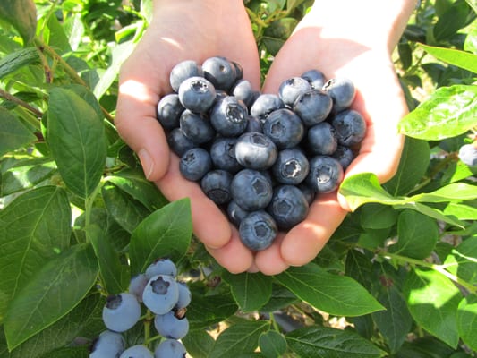 viet-quat-9f38725f-3e64-488f-837c-7e9058c27a46