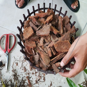 Vỏ thông đỏ xay vụn - Giá thể trồng lan chuyên dụng hàng đẹp