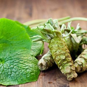 Gói 50 hạt giống củ mù tạt wasabi Nhật Bản - Wasabi Japanese Horseradish Vegetable