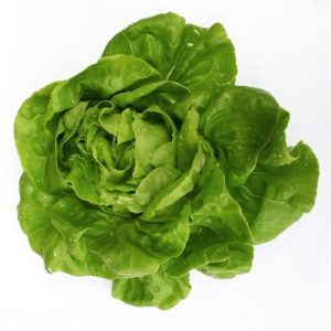 Gói 2g hạt giống xà lách búp