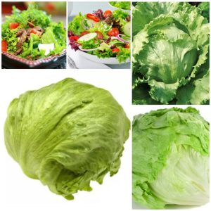 Gói 2g hạt giống xà lách Minetto