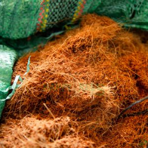 Xơ dừa (gói 2dm3) - CayGiongTot