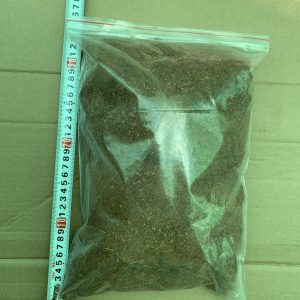 Xơ dừa (gói 2dm3) - CayGiongTot