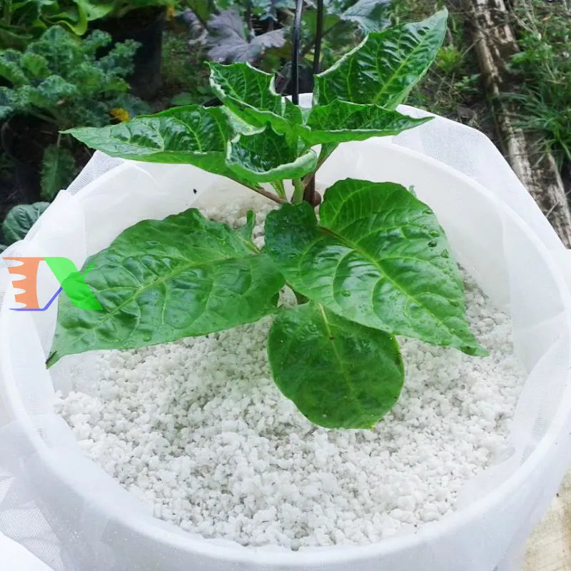 Sự kết hợp đa dạng các loại nguyên liệu tạo nên giá thể lý tưởng cho lan Miltonia