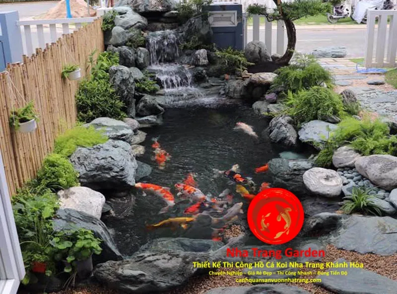 Mẫu bể xi măng nuôi cá chép cảnh Koi Việt Nam được thiết kế chuẩn phong thủy và kỹ thuật