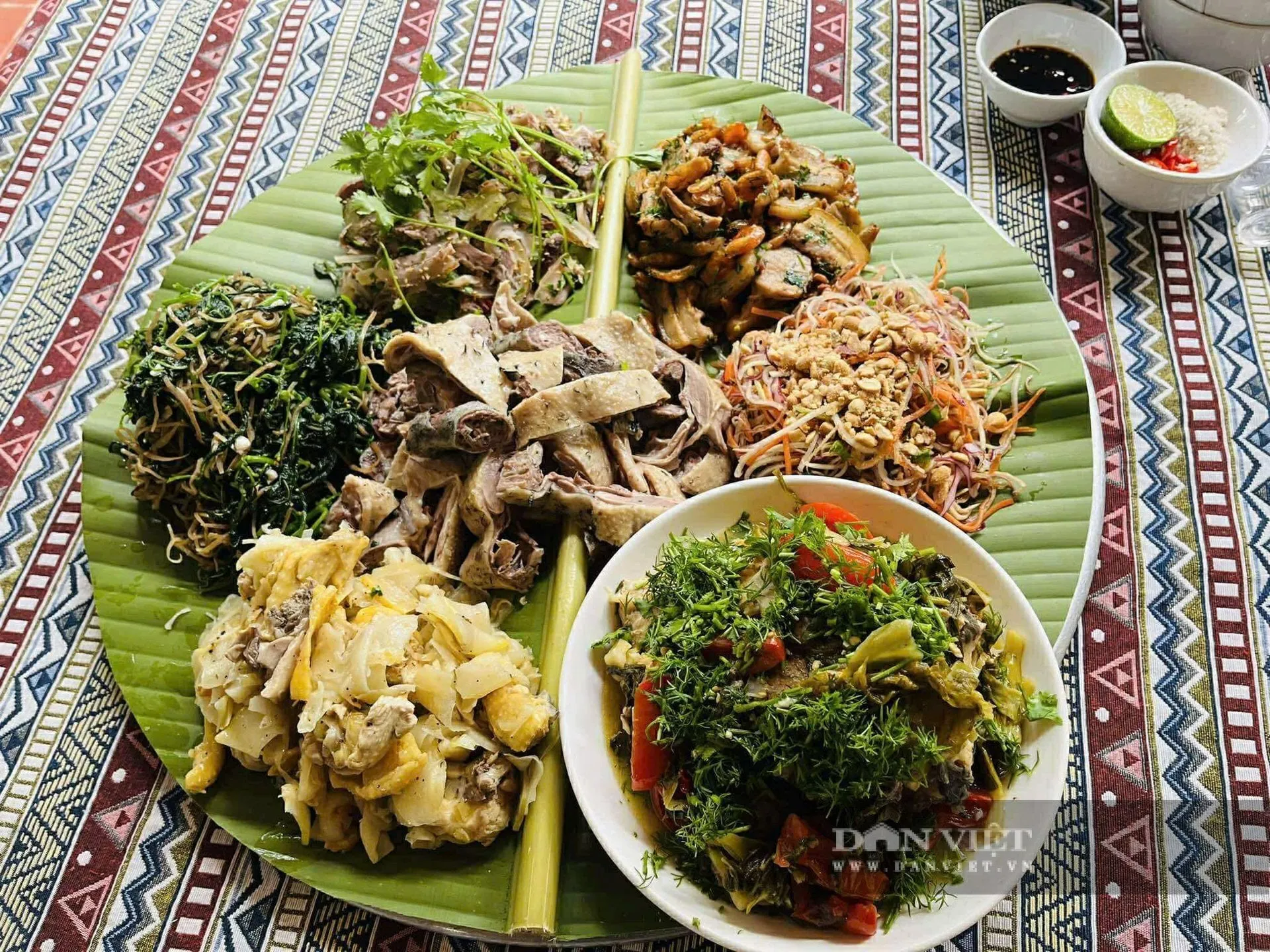 Chế độ dinh dưỡng đa dạng từ tự nhiên giúp vịt Cổ Diên cho trứng chất lượng cao