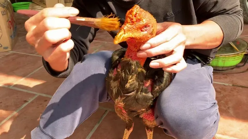 Kỹ thuật om bóp nghệ giúp da gà dày và đỏ đẹp