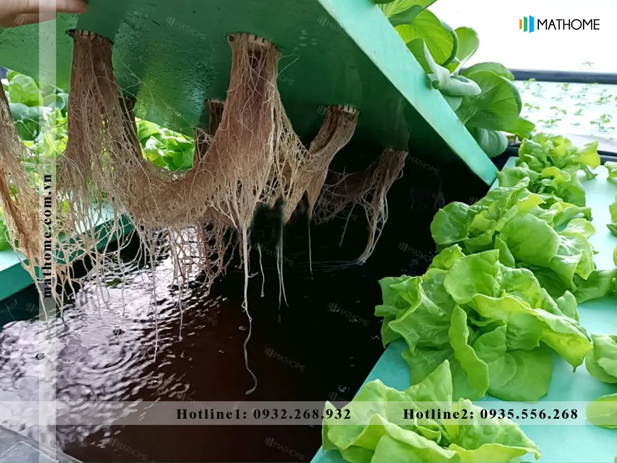 Quy trình vệ sinh đúng cách giúp kéo dài tuổi thọ và đảm bảo an toàn cho xốp EPS 20Densy