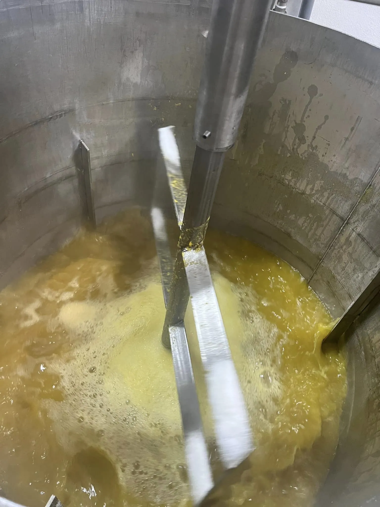 Kỹ thuật trộn men Amylase đều khắp khối gạo nếp đã được làm nguội