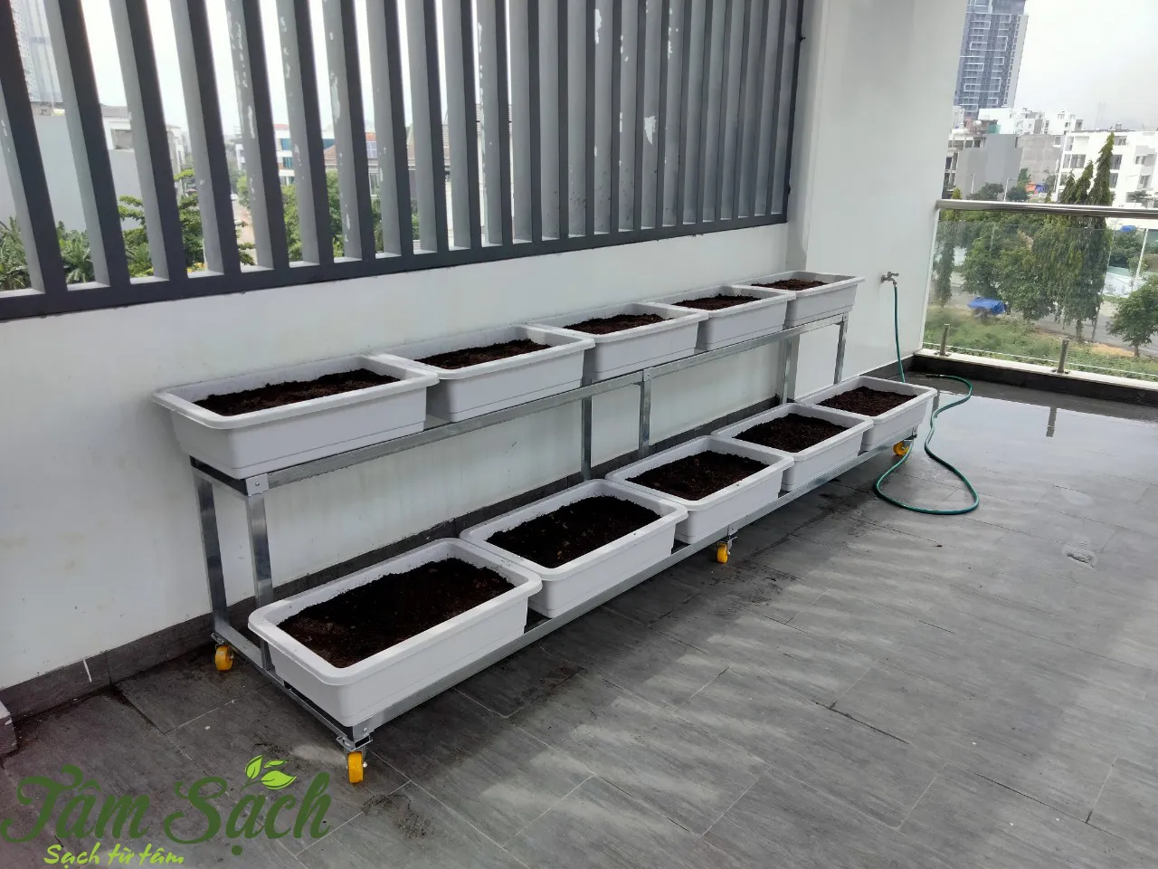 Mô hình trồng rau tầng giúp tối ưu hóa diện tích canh tác tại đô thị