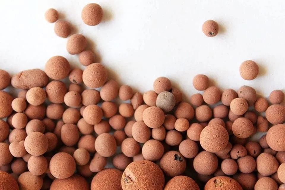 Cấu trúc xốp rỗng của viên đất nung giúp tối ưu hóa quá trình trao đổi oxy cho rễ lan