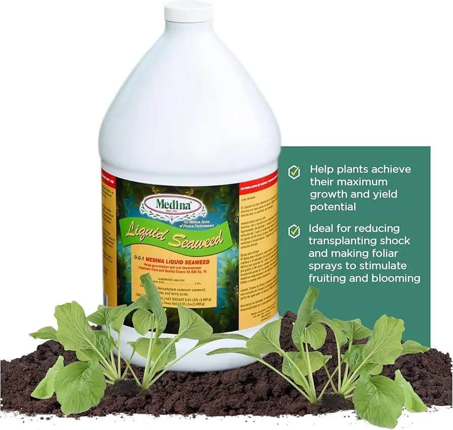 Sử dụng phân bón hữu cơ chiết xuất từ rong biển giúp tối ưu hóa quá trình ra hoa và đậu quả