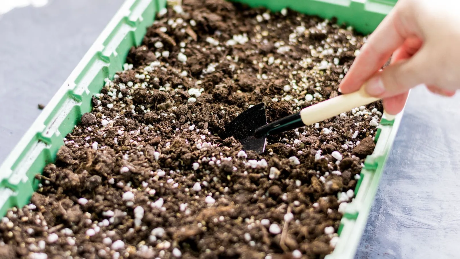 a-shot-of-a-person-in-the-process-of-preparing-a-contrainer-with-a-soil-mix Các bước chuẩn bị giá thể và hạt giống kỹ lưỡng trước khi gieo