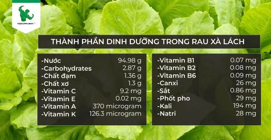 anh_phan_dinh_duong_trong_rau_xa_lach_5570003b787d4ae4b11cb5d1f905ecc4 Rau cải làn là nguồn cung cấp Vitamin K C và chất xơ dồi dào cho cơ thể