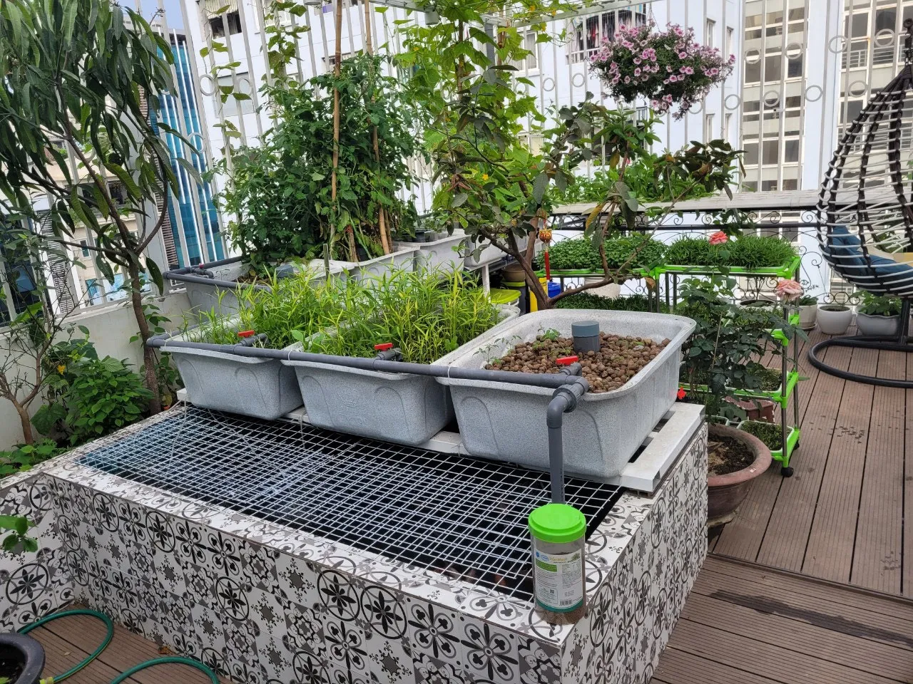 Hệ thống Aquaponics thông minh tối ưu hóa diện tích cho không gian đô thị