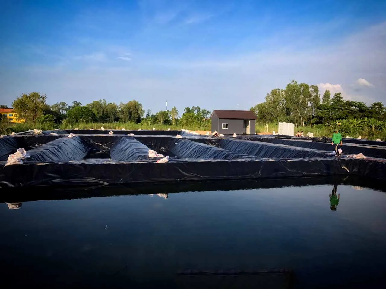 Ứng dụng màng HDPE trong mô hình nuôi tôm thâm canh